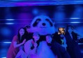 杭州哪家酒吧ktv招聘包厢管家,怎么能多找一些客源
