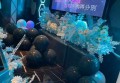杭州宝马汇KTV招聘包厢点歌服务生,(上班轻松,工资高,收入高)