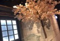 广州招聘保安条件要求（广州保安岗位招聘条件与要求）