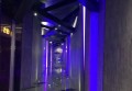 杭州西湖区ktv招聘包厢点歌服务生,需要加班吗