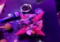 杭州铂金神话KTV招聘包厢点歌服务生,(领班亲自带队)