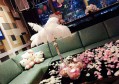 杭州什么地方有夜场ktv招聘酒水促销员,夜场上班适合穿黑色衣服吗？